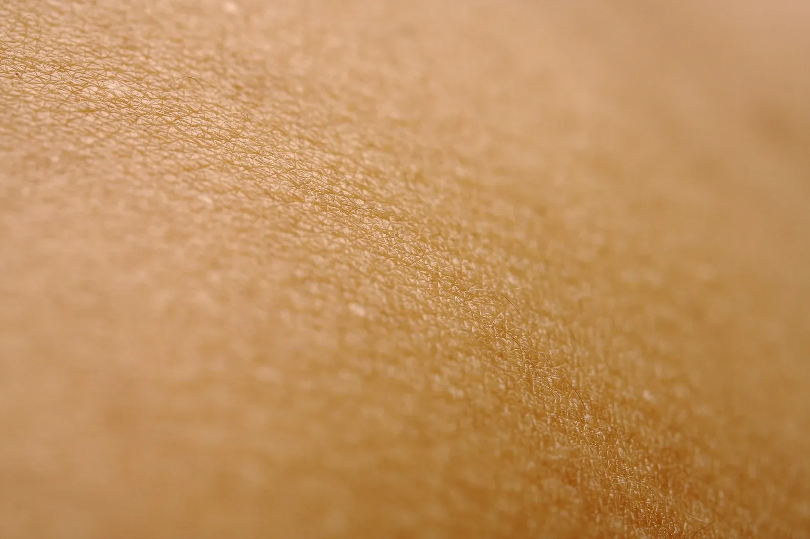 Close da textura da pele sob luz quente